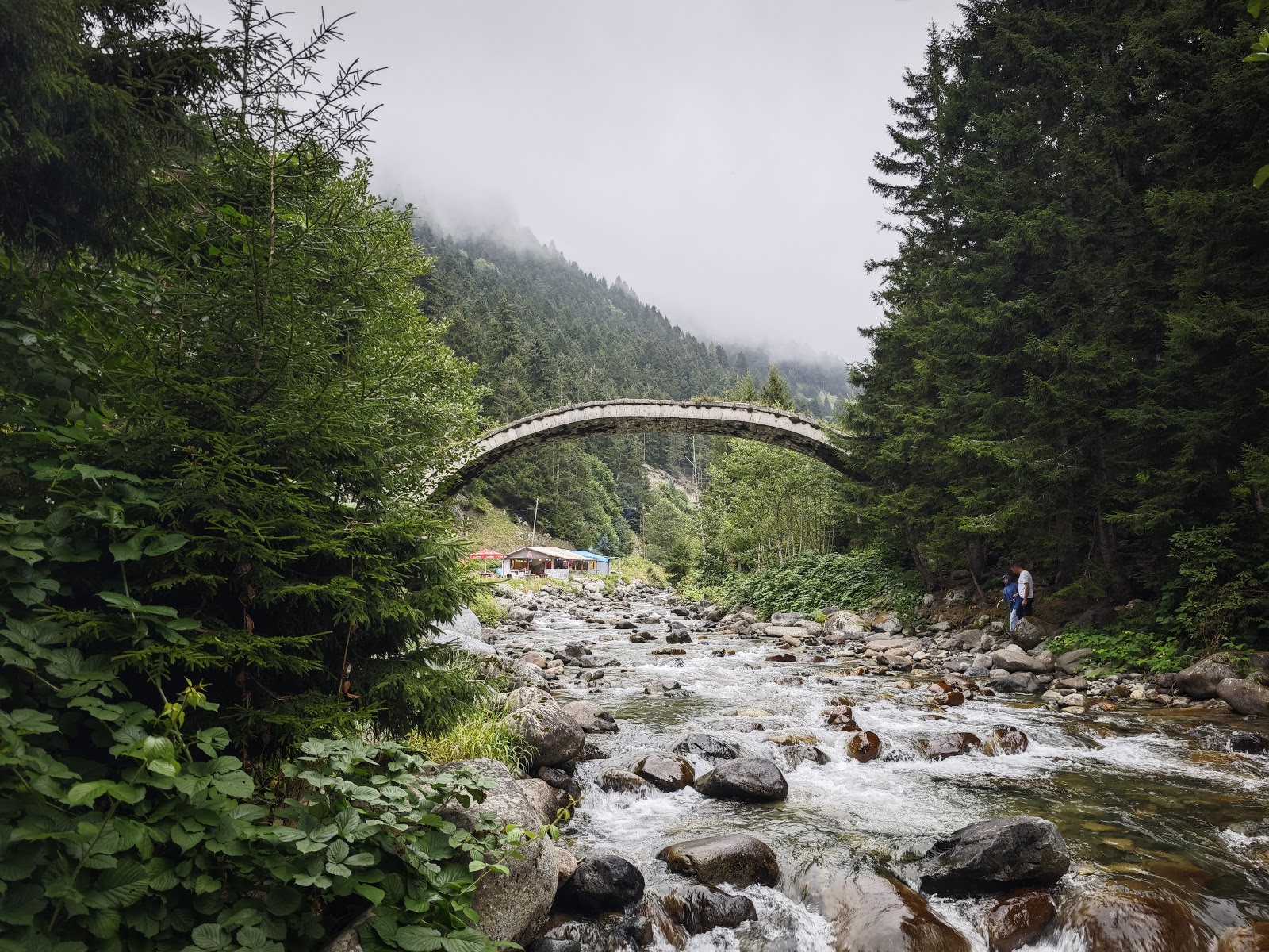 Elevit Yaylası — fotoğraf 4