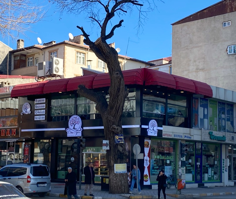 ELMA AĞACI Pasta Cafe — fotoğraf
