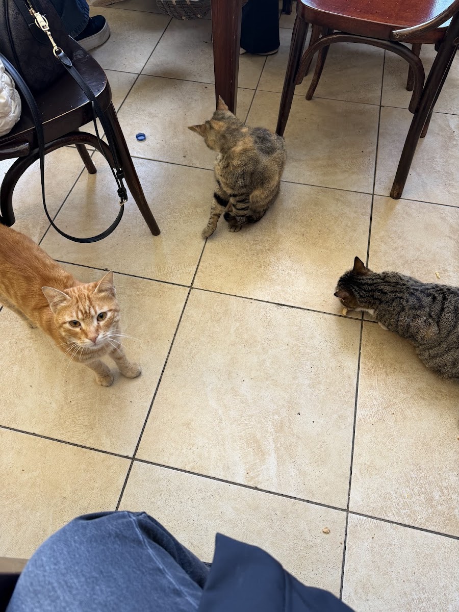 Emek Cafe — fotoğraf 2