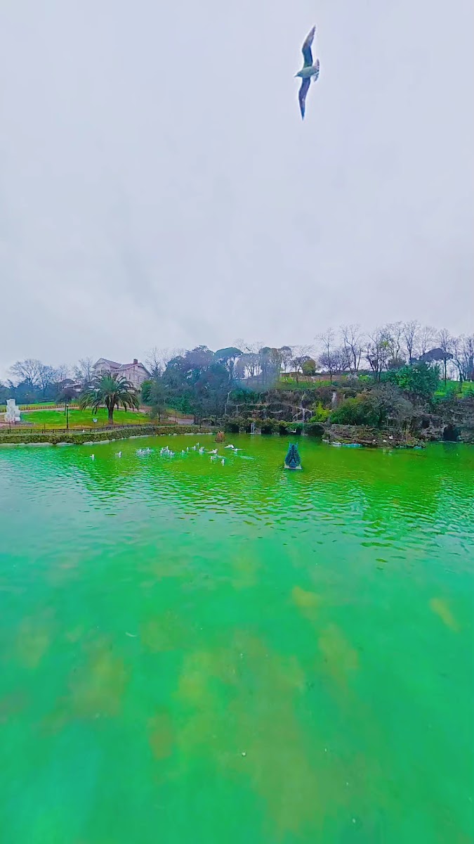 Emirgân Korusu — fotoğraf 2