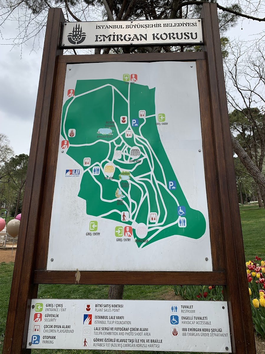 Emirgân Korusu — fotoğraf 4