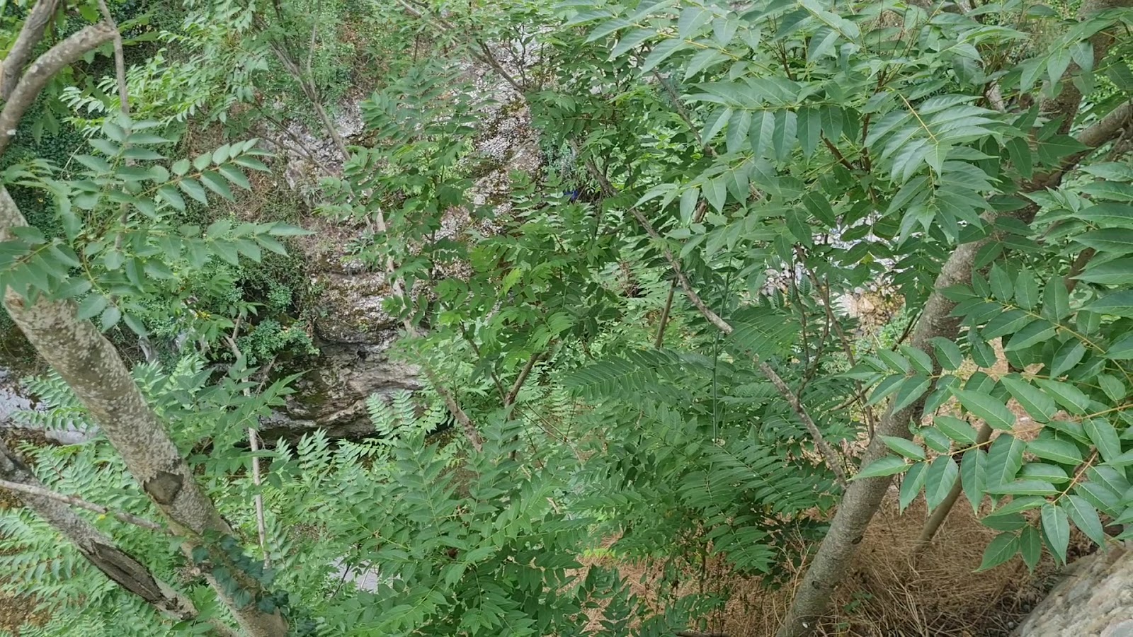 Emiroğlu Konak — fotoğraf 3