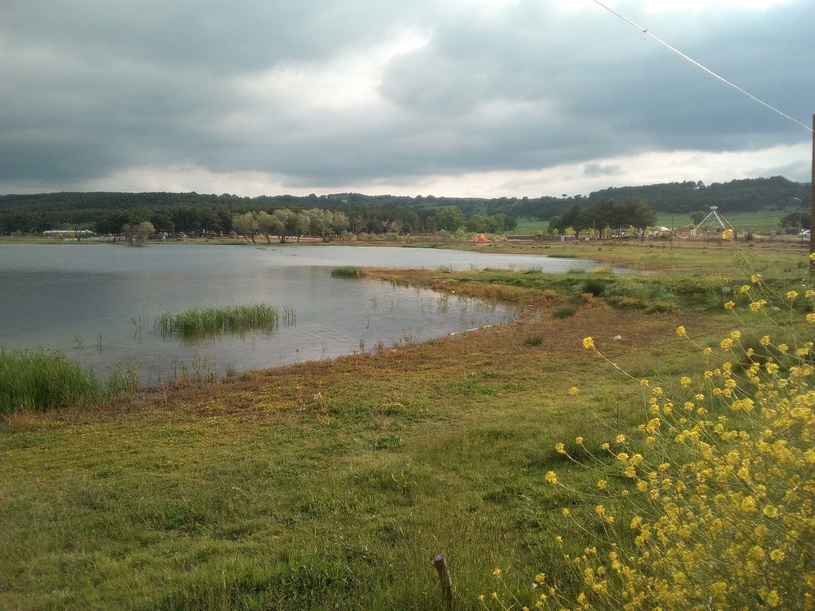Emre Deniz Ün Hatıra Ormanı — fotoğraf 4
