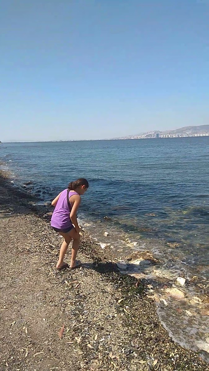 Engelliler Parkı — fotoğraf 5