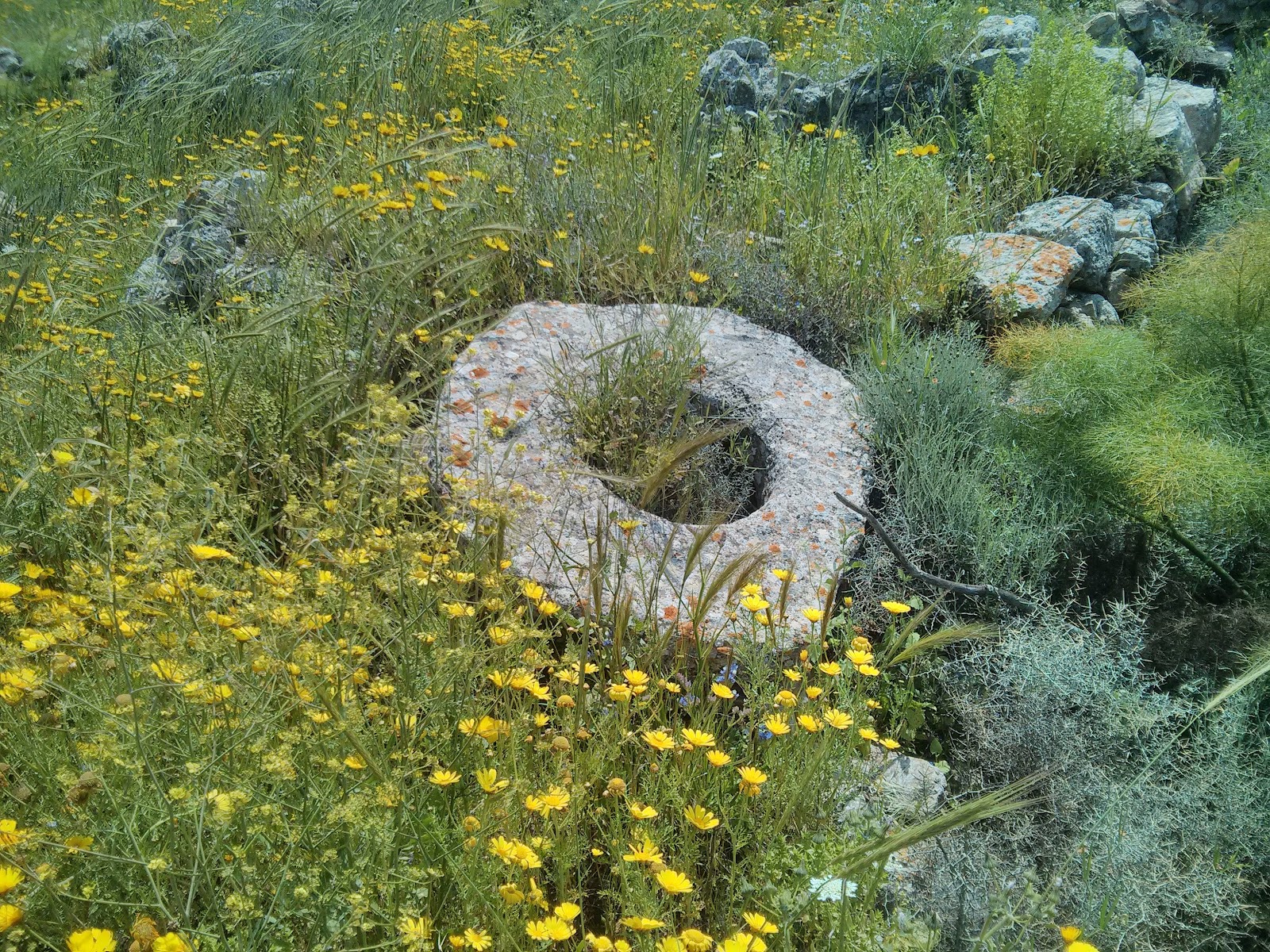 Enkomi Ören Yeri — photo 2