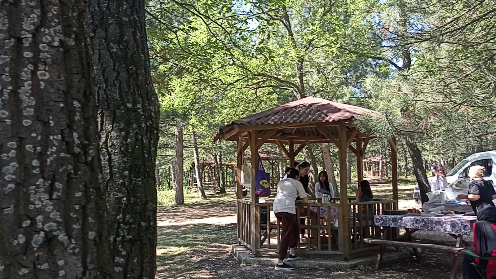 Enne Barajı Tabiat Parkı — fotoğraf 3