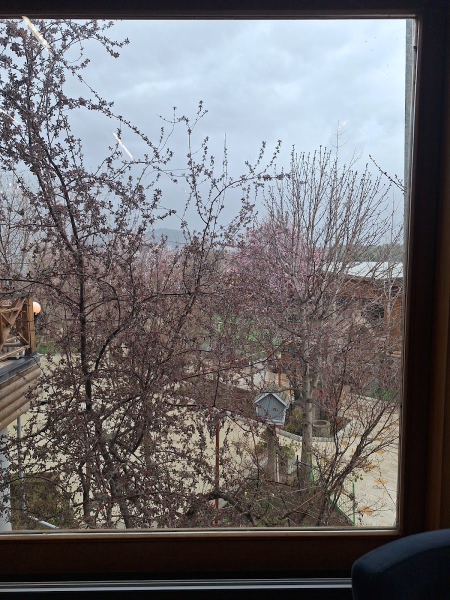 Erciyes Binicilik - Kayseri Kahvaltı — fotoğraf 2