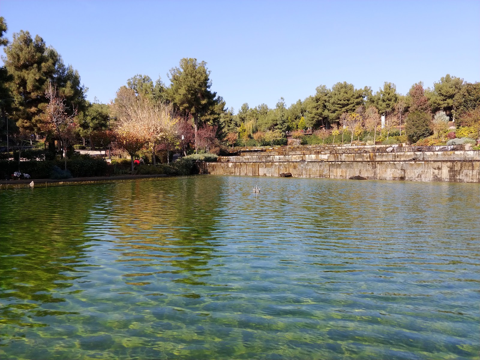 Erikçe Piknik Alanı — fotoğraf 5
