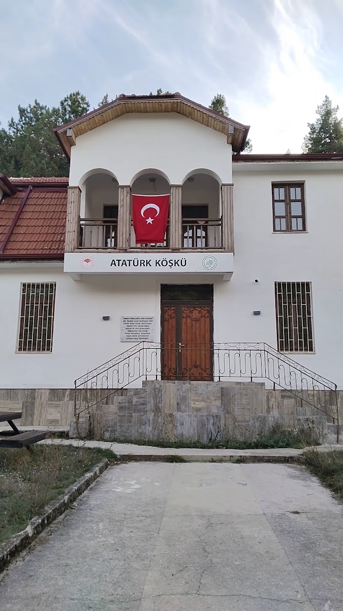 Erikli Köyü Atatürk Köşkü — fotoğraf 3