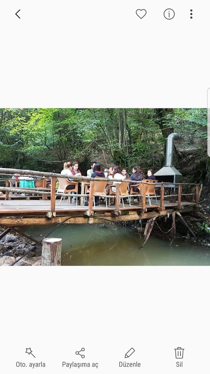 Erikli Şelale Kamp Alani — fotoğraf 4