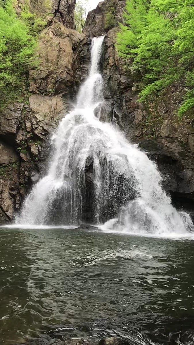 Erikli Şelalesi — fotoğraf 3