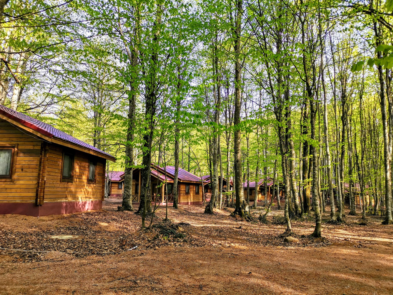 Eriklitepe Tabiat Parkı — fotoğraf 1