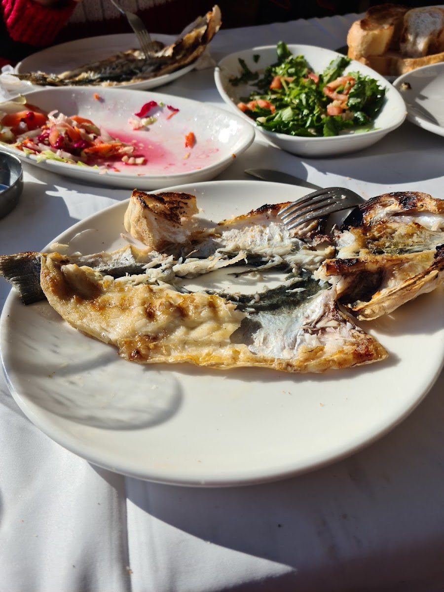 Erollar Restorant — photo 4