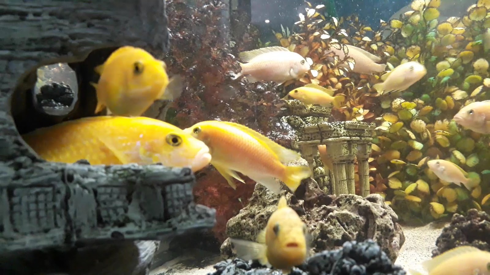 Erzurum Polisevi — fotoğraf 3