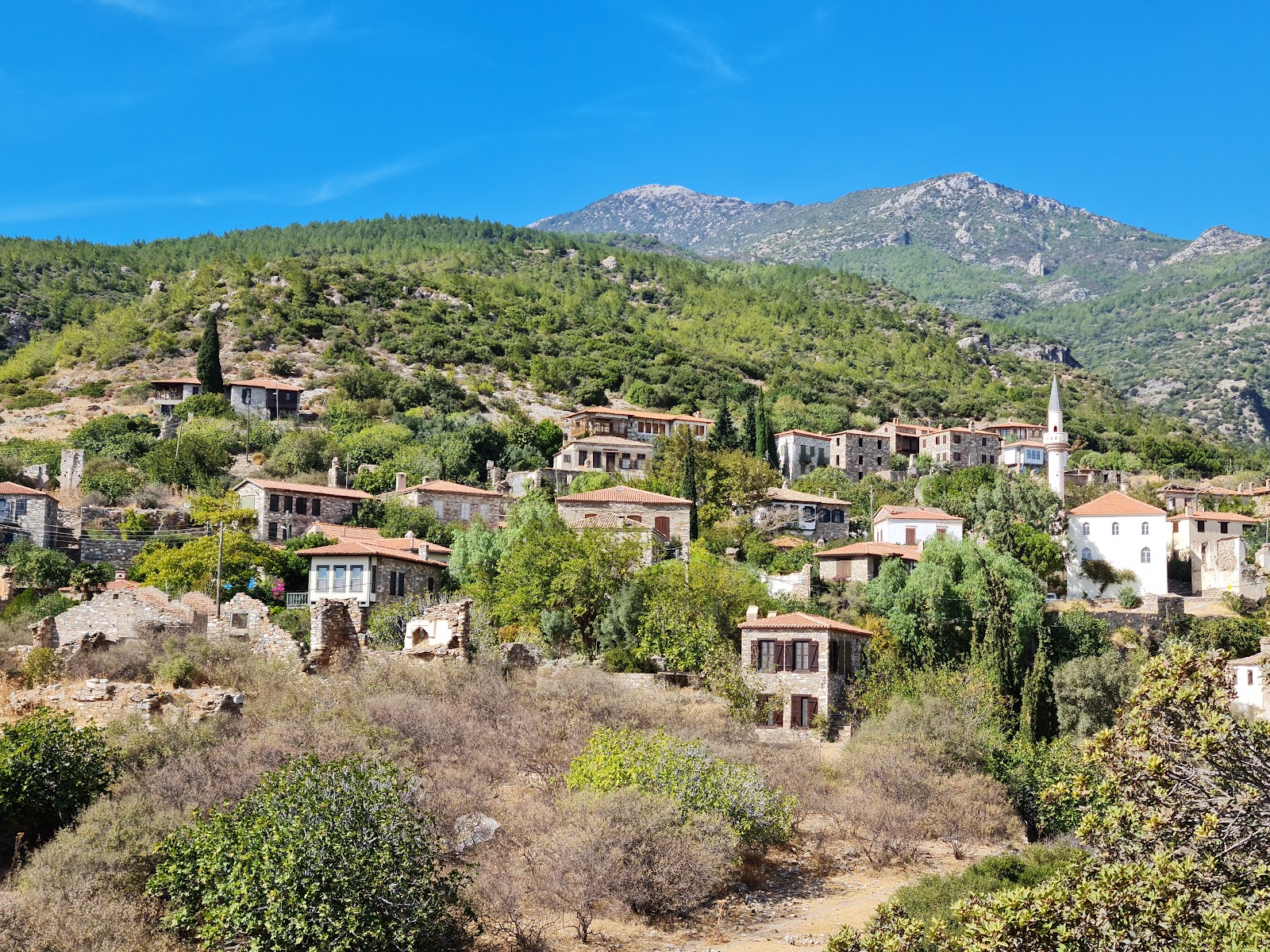 Eski Doğanbey Evleri — fotoğraf 1