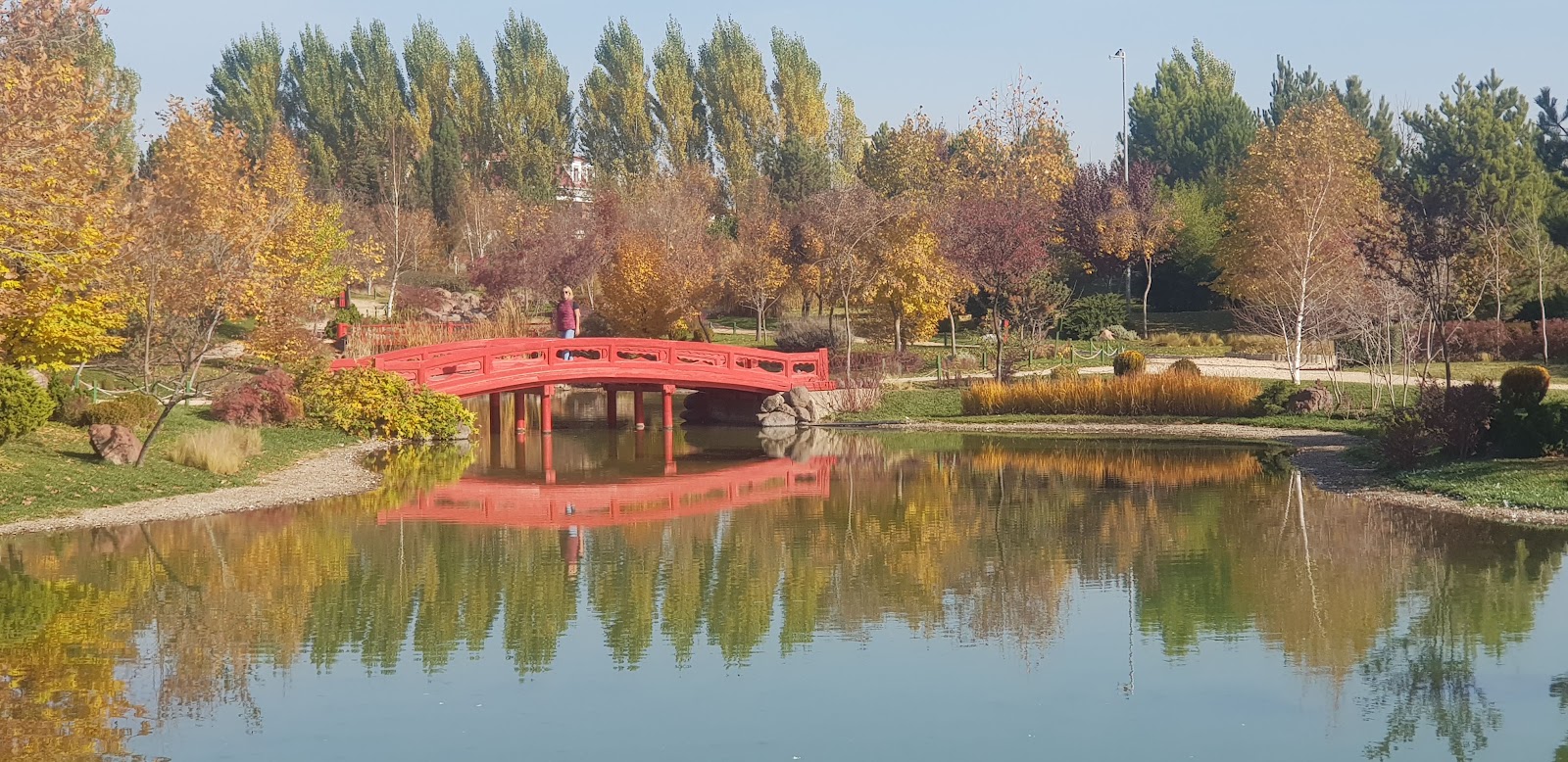 Eskişehir Büyükşehir Belediyesi ETİ Sualtı Dünyası — photo 5