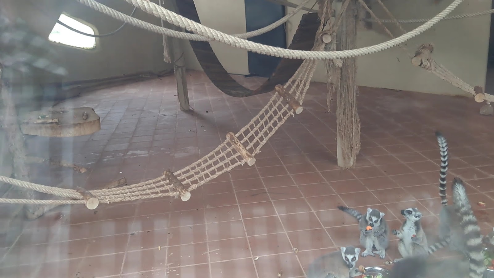 Eskişehir Büyükşehir Belediyesi Hayvanat Bahçesi — fotoğraf 2