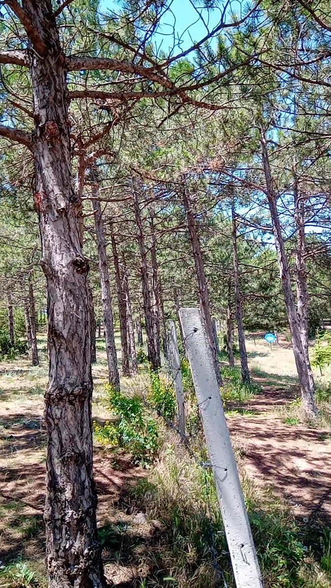 Eskişehir Kent Ormanı — fotoğraf 3