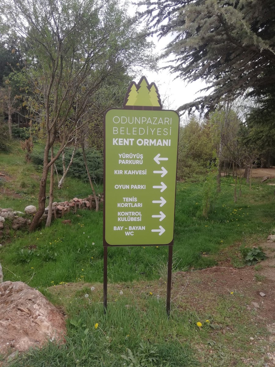 Eskişehir Kent Ormanı — fotoğraf 4