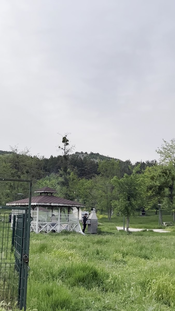 Orman Fidanlığı — fotoğraf 2
