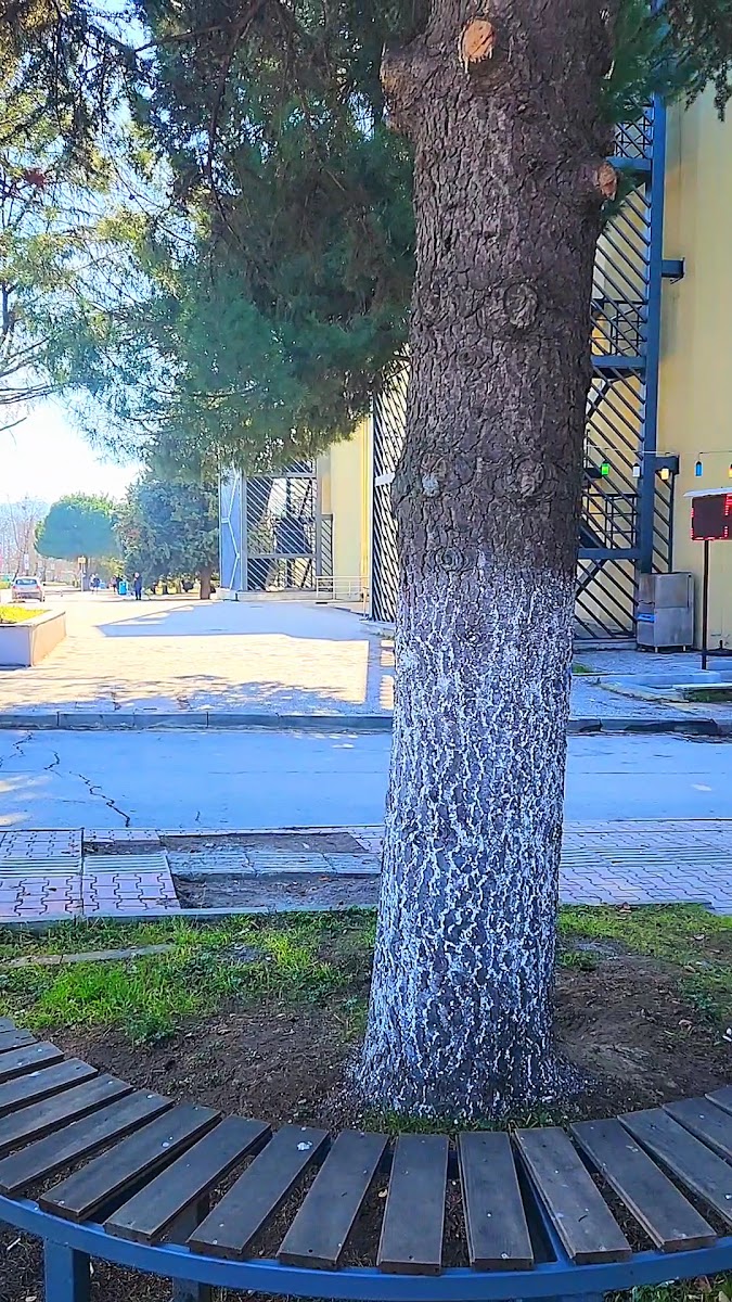 Espressolab Uludağ Üniversitesi — fotoğraf 3