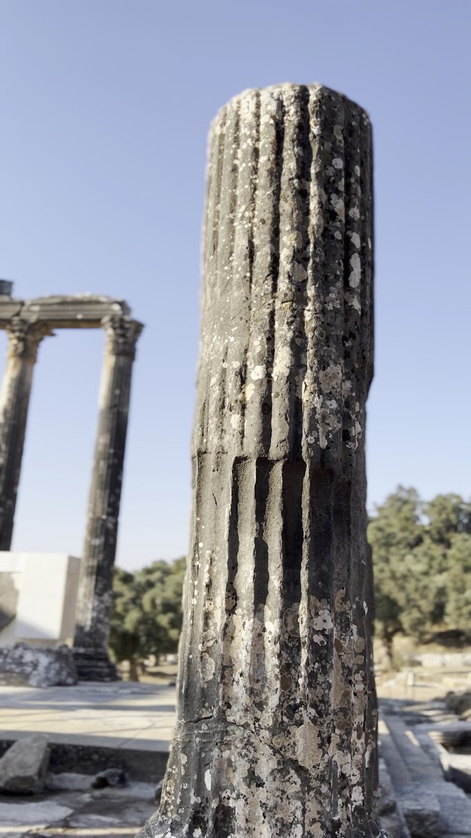 Euromos Ören Yeri — fotoğraf 4