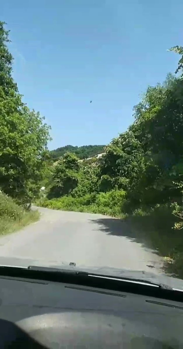 Evcik Plajı — photo 3