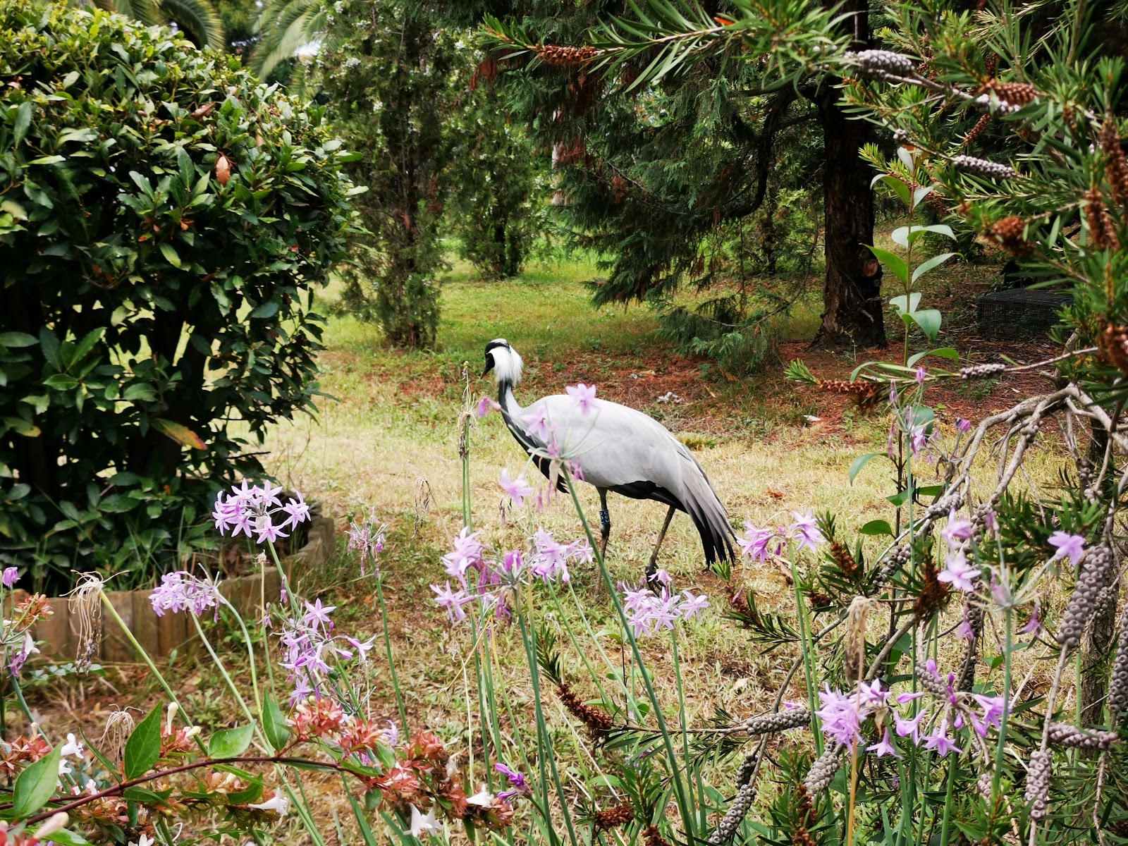 Faruk Yalçın Hayvanat Bahçesi ve Botanik Parkı — fotoğraf 4