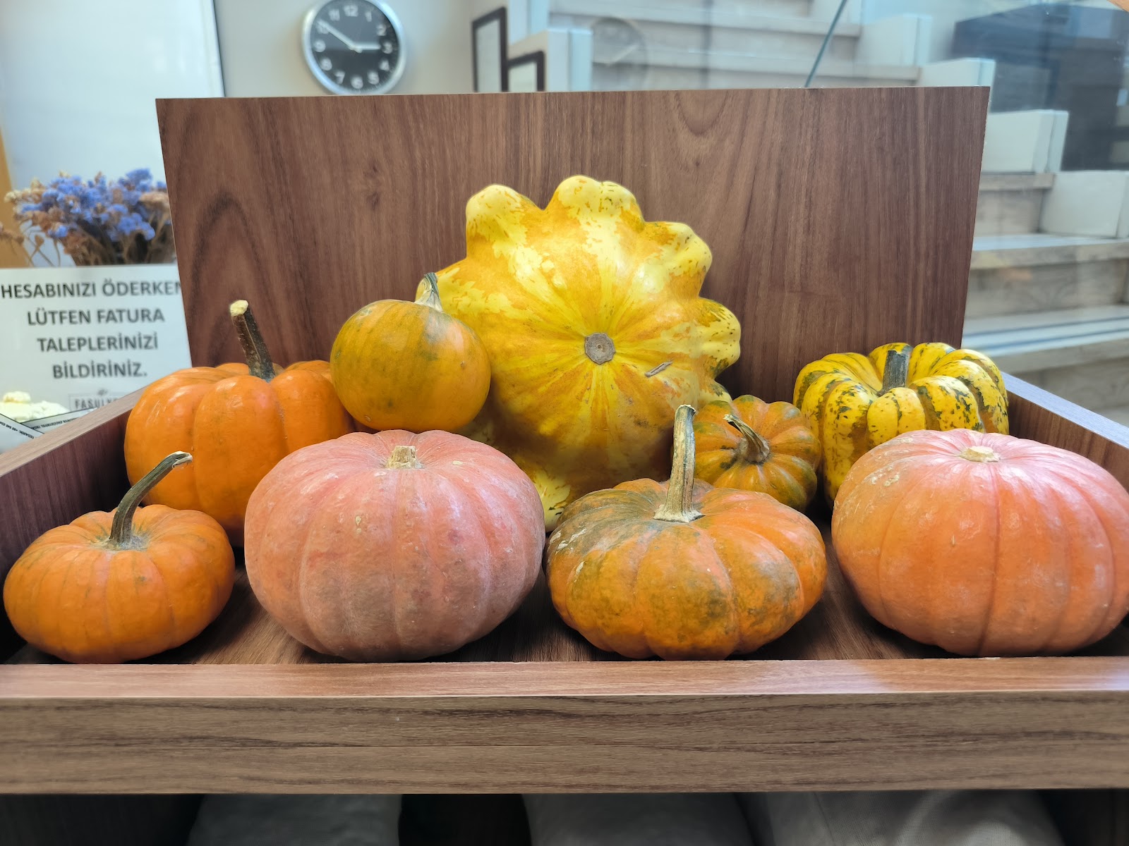 Fasulyeli — fotoğraf 10