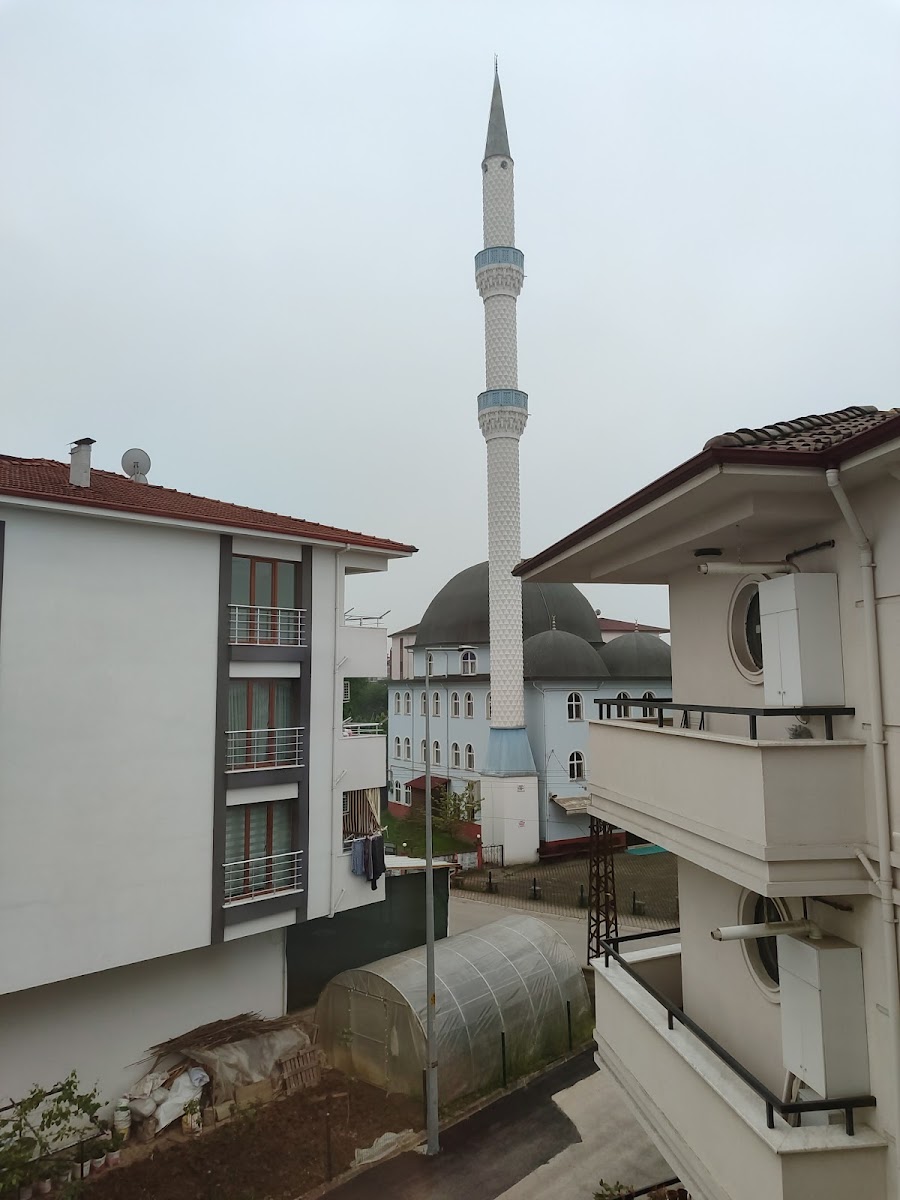 Fatih Cami — fotoğraf