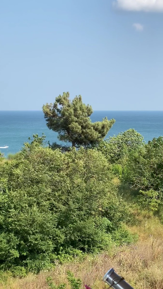 Fener Apart Pansiyon — fotoğraf 3