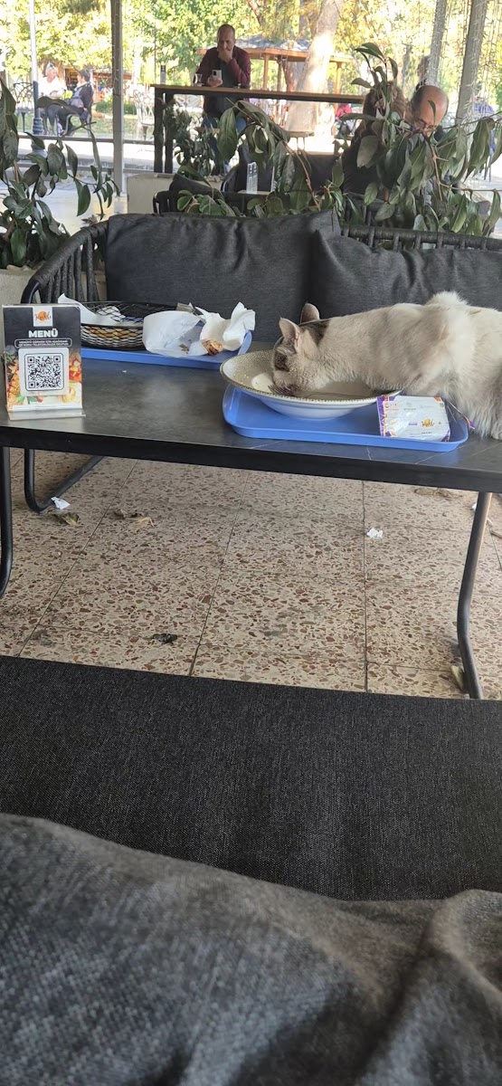 Ferahlı Cafe — photo 3