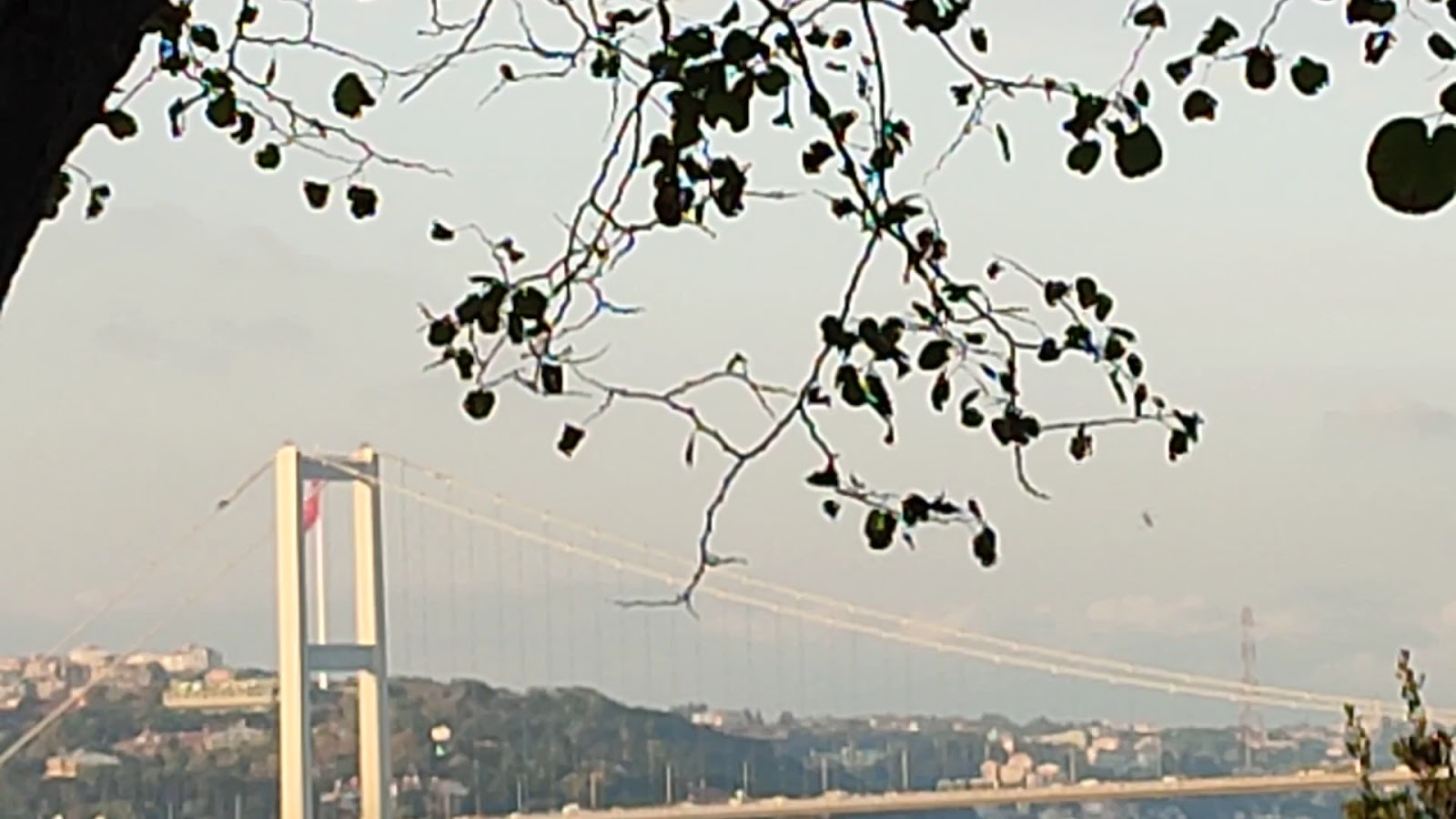 Fethipaşa Korusu — fotoğraf 3