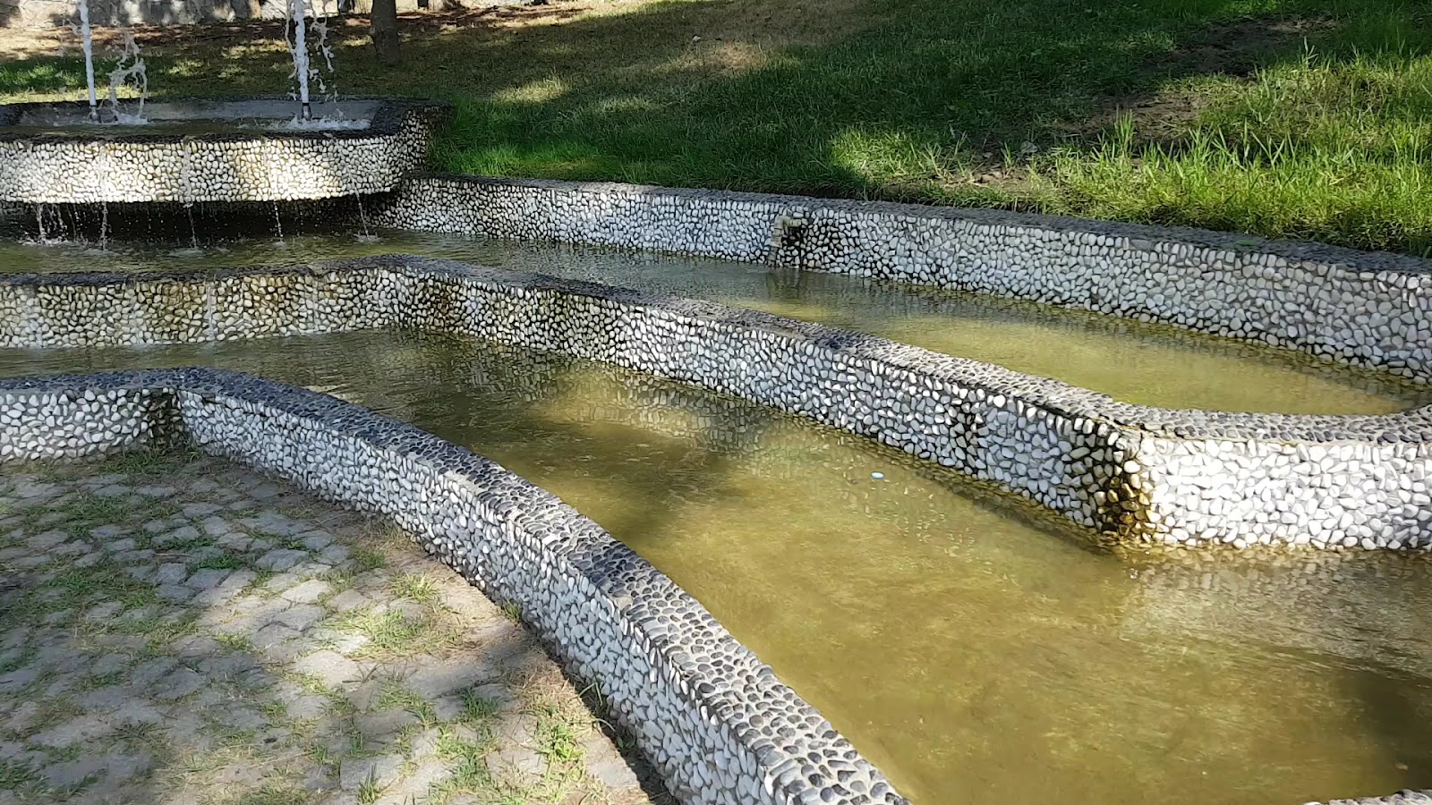 Fethipaşa Korusu — fotoğraf 4