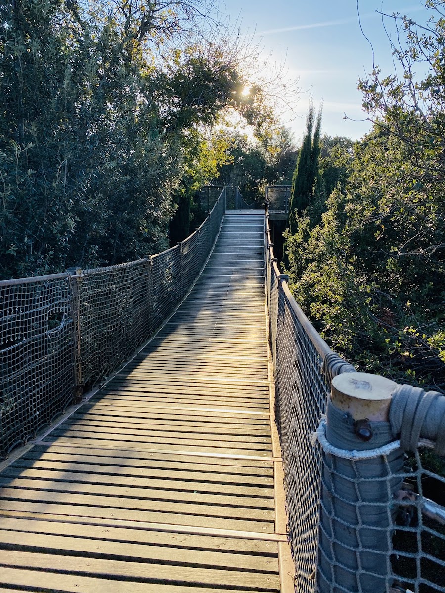 Fethipaşa Korusu — fotoğraf 5