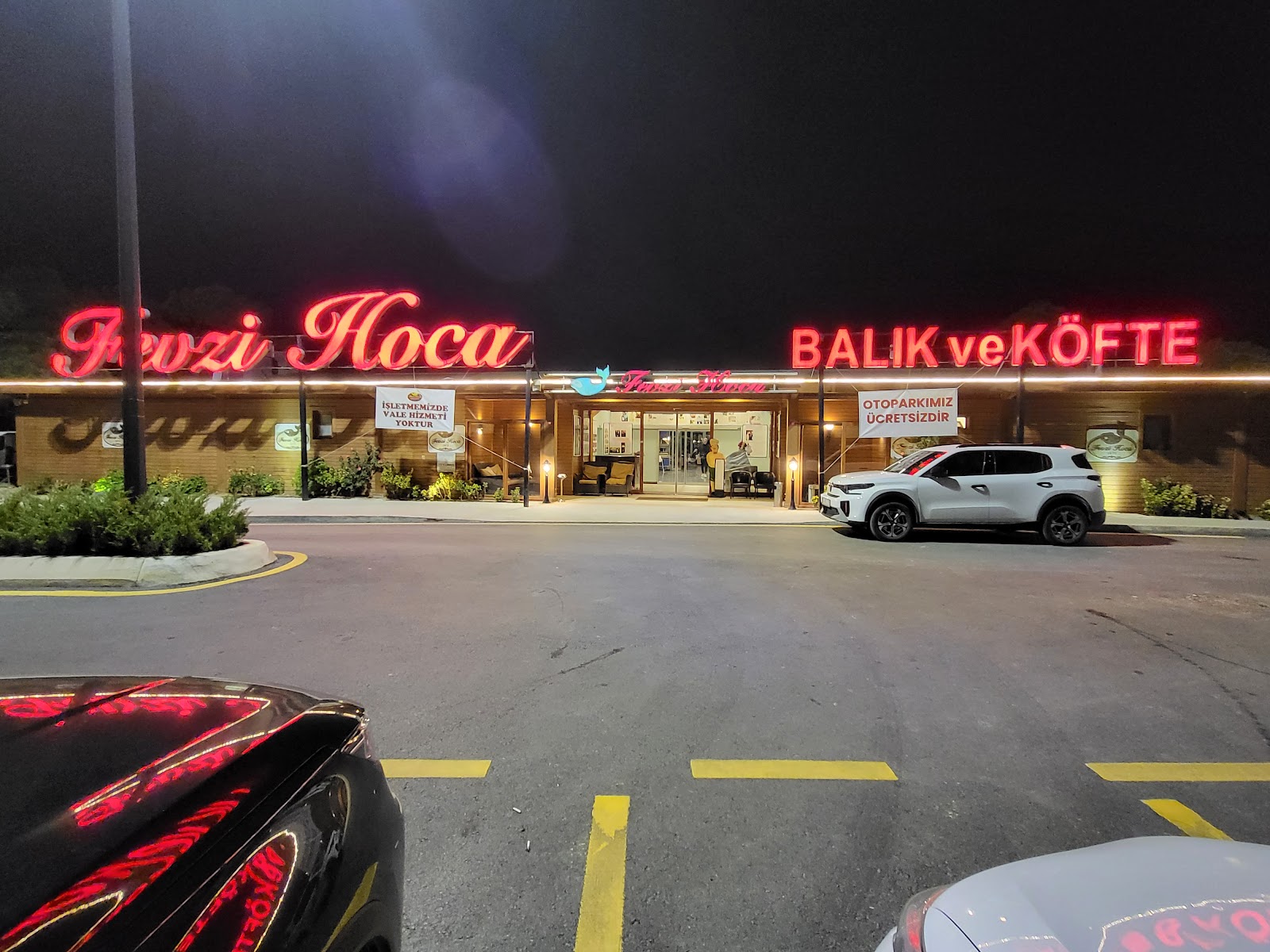 Fevzi Hoca Balık ve Köfte Restoranı — photo 2