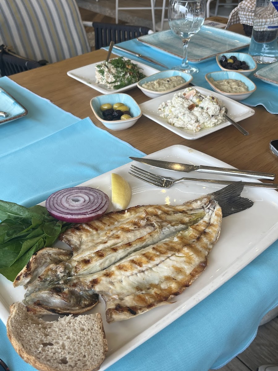 Fikret Balıkçılık Restoran — fotoğraf 2