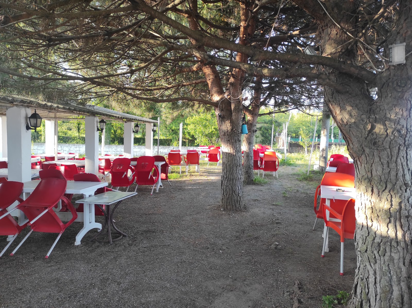 Filyos Çapari Restaurant — fotoğraf