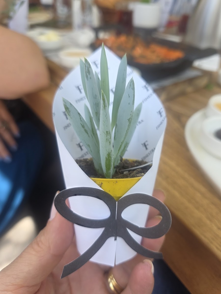 Finestra Ümitköy — fotoğraf 2