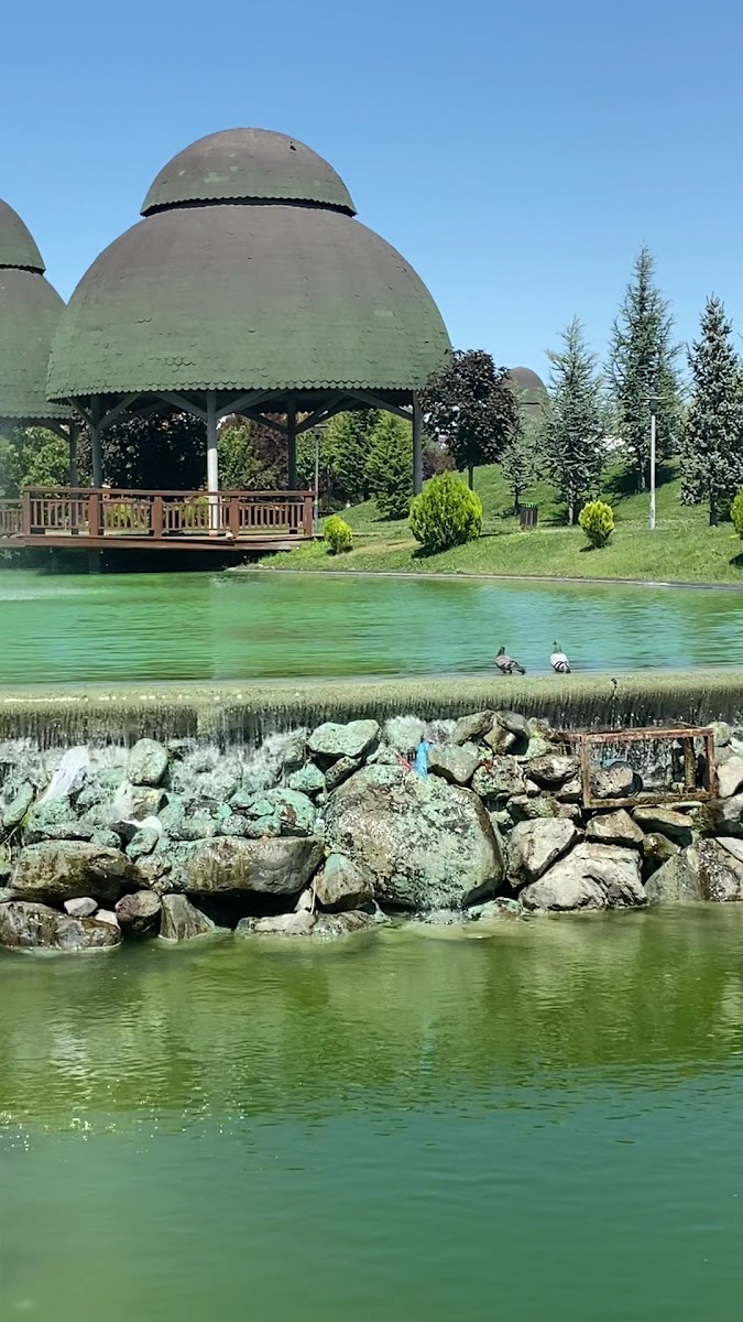 Fırat Üniversitesi Kültür Park — fotoğraf 3