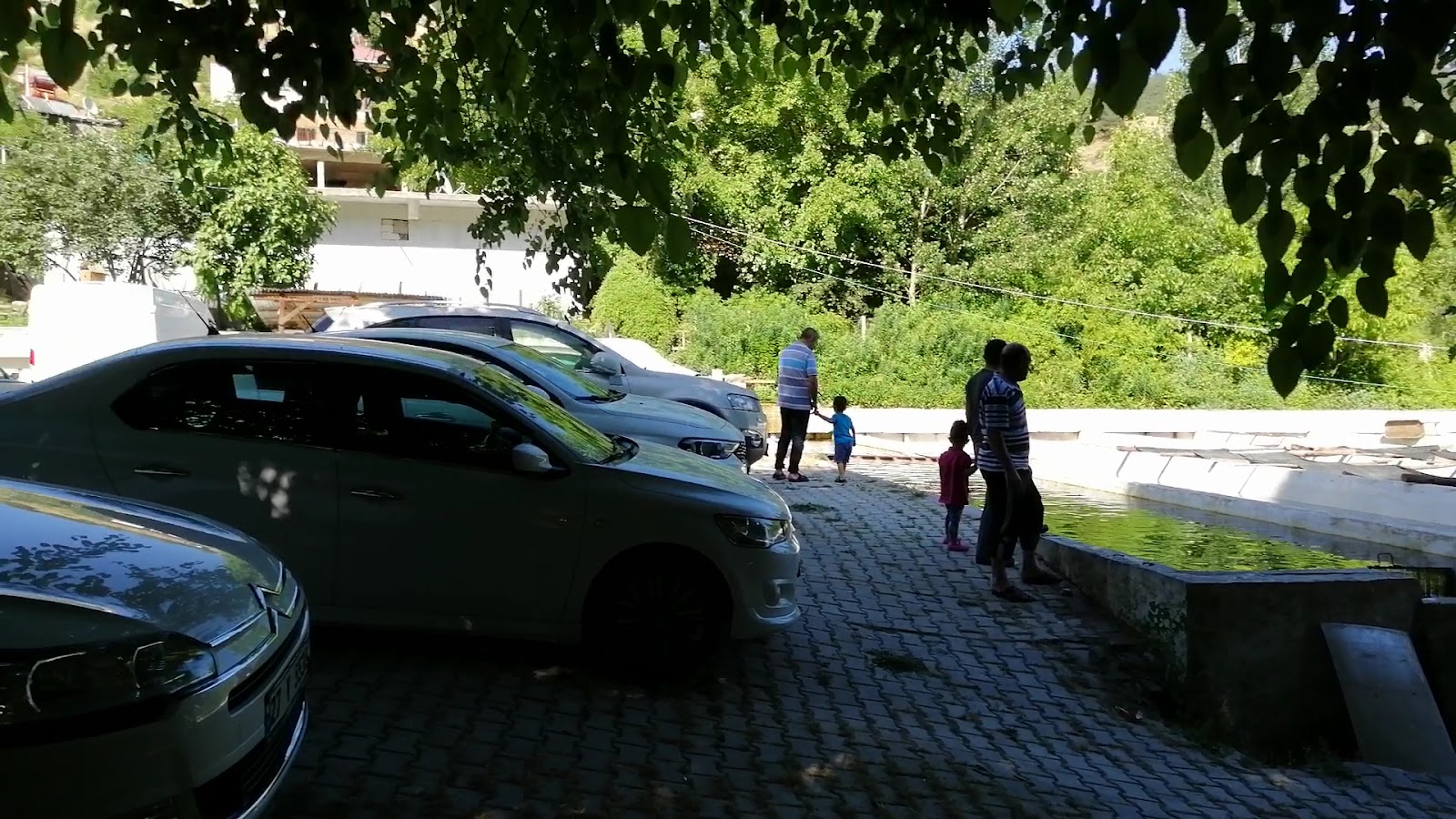 Fırnız Aras Alabalık — fotoğraf 6