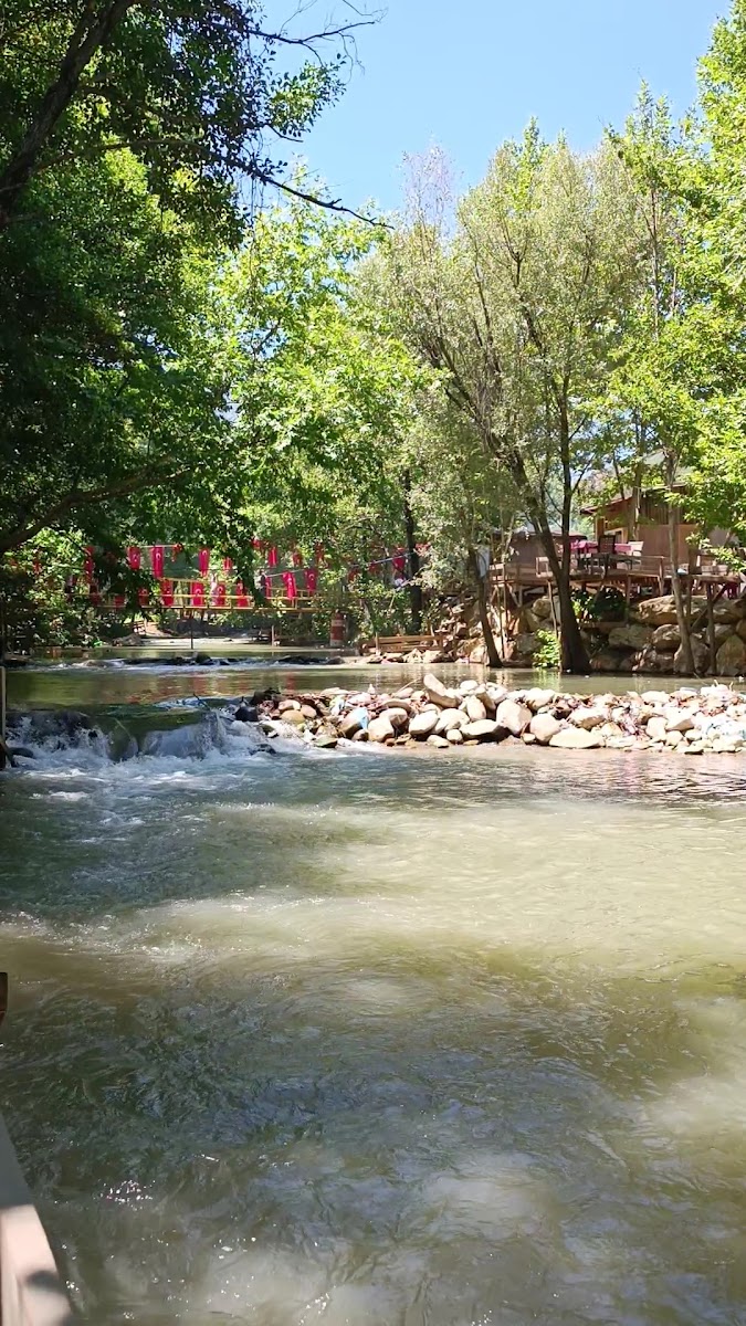 FIRNIZ YEŞİL BAHÇE PİKNİK ALANI — fotoğraf 3