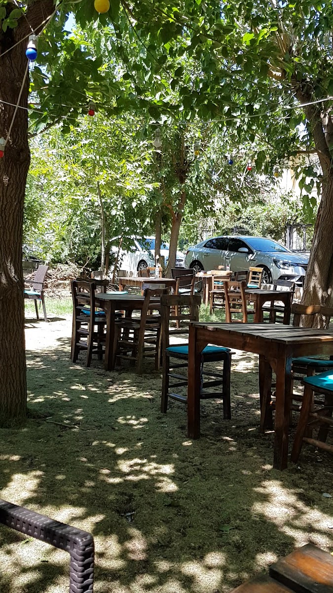 Firuze Kahve — fotoğraf 3