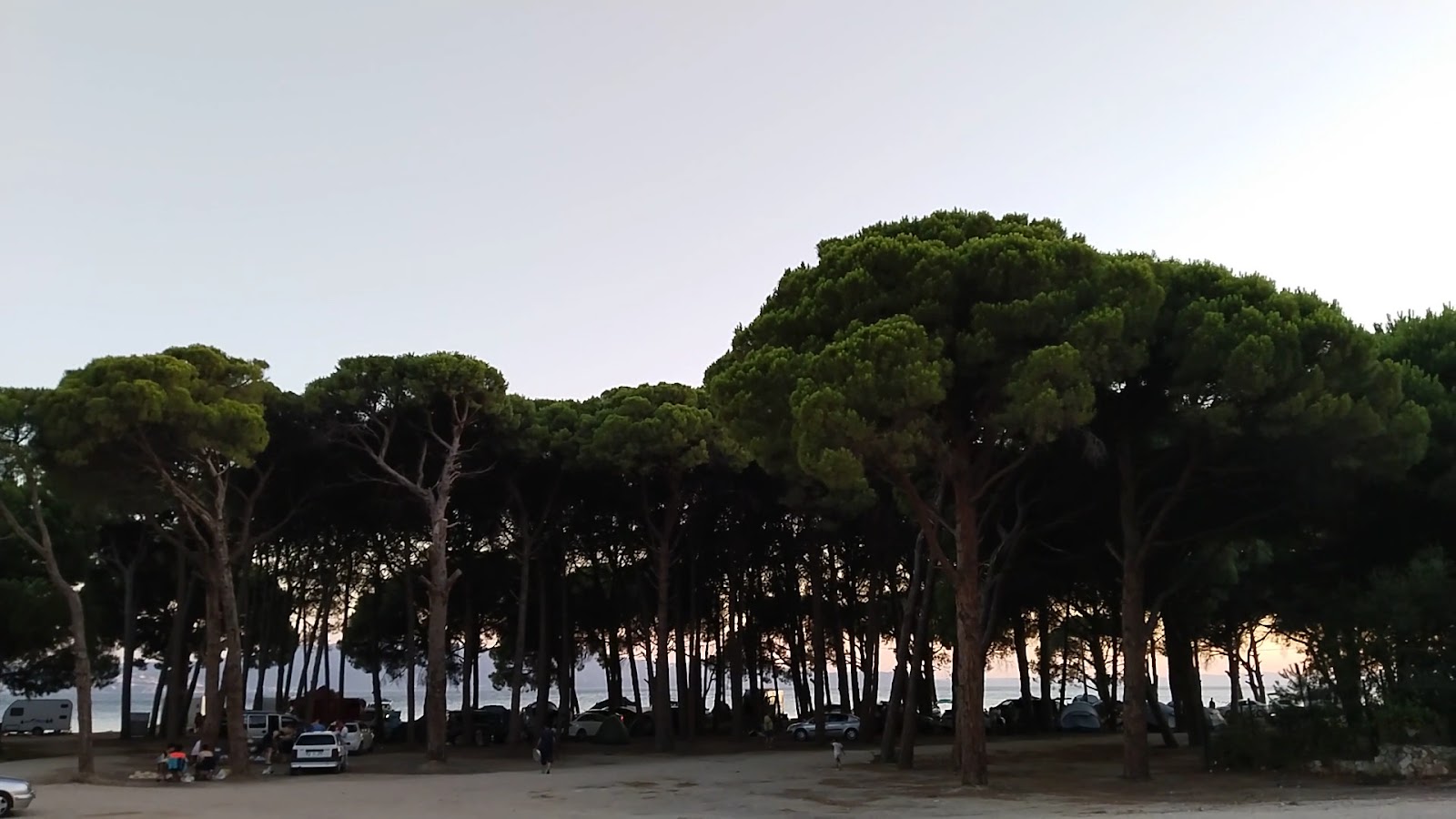 Fıstıklı Köyü Piknik Alanı — fotoğraf 3