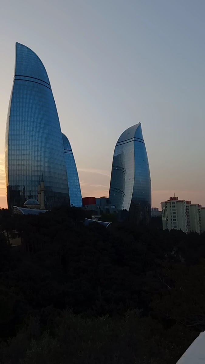 Flame Towers — photo 3
