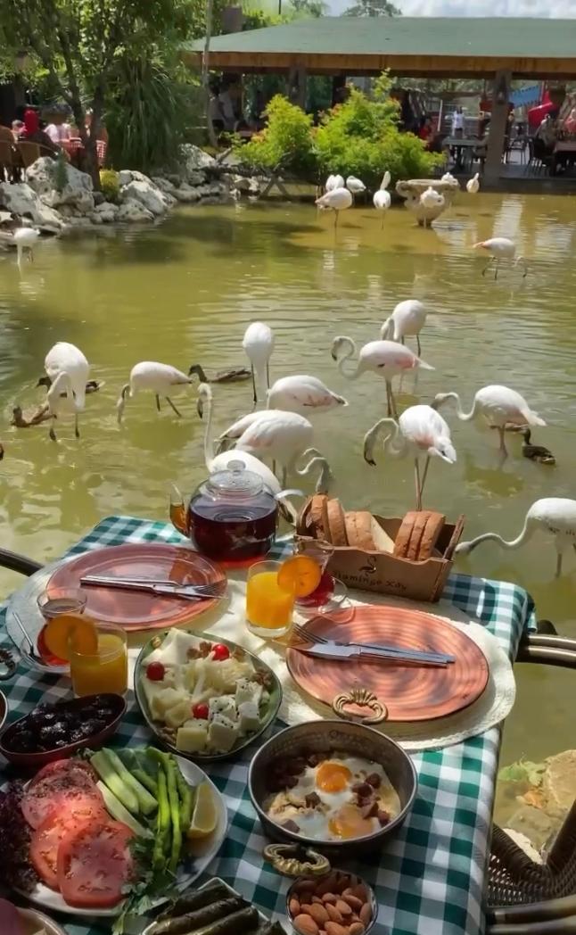 Flamingo Köy — photo 5