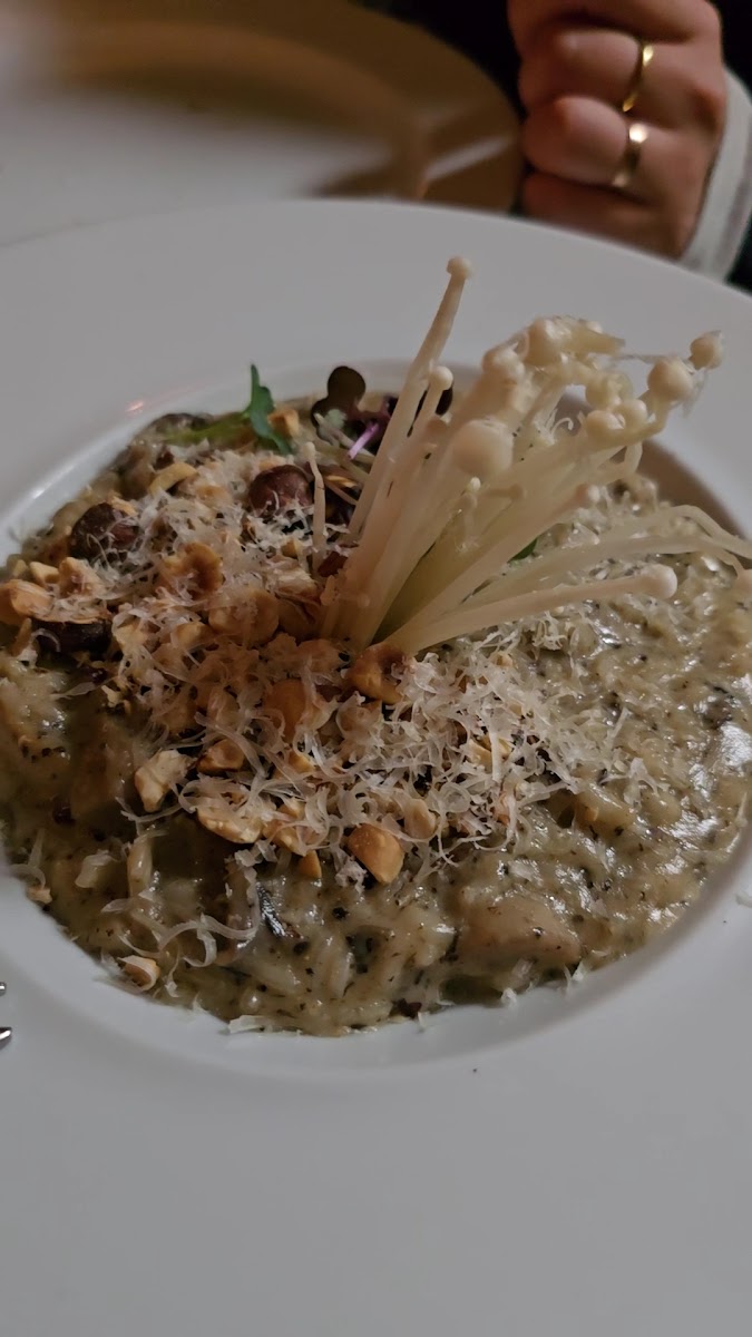 Flow Restaurant & Bar — photo 3
