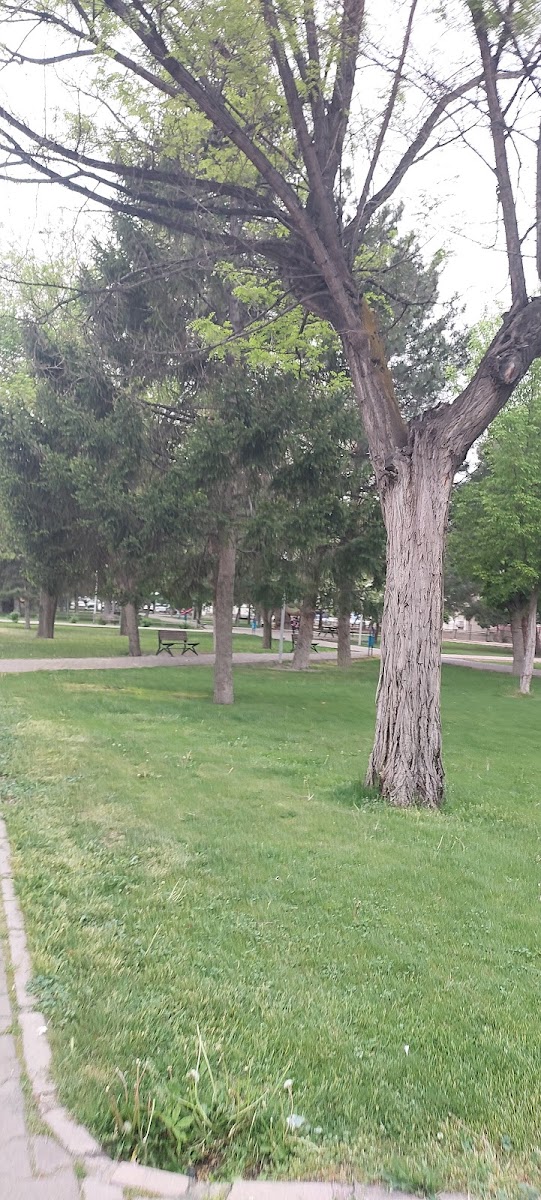 Fuzuli Parkı — photo