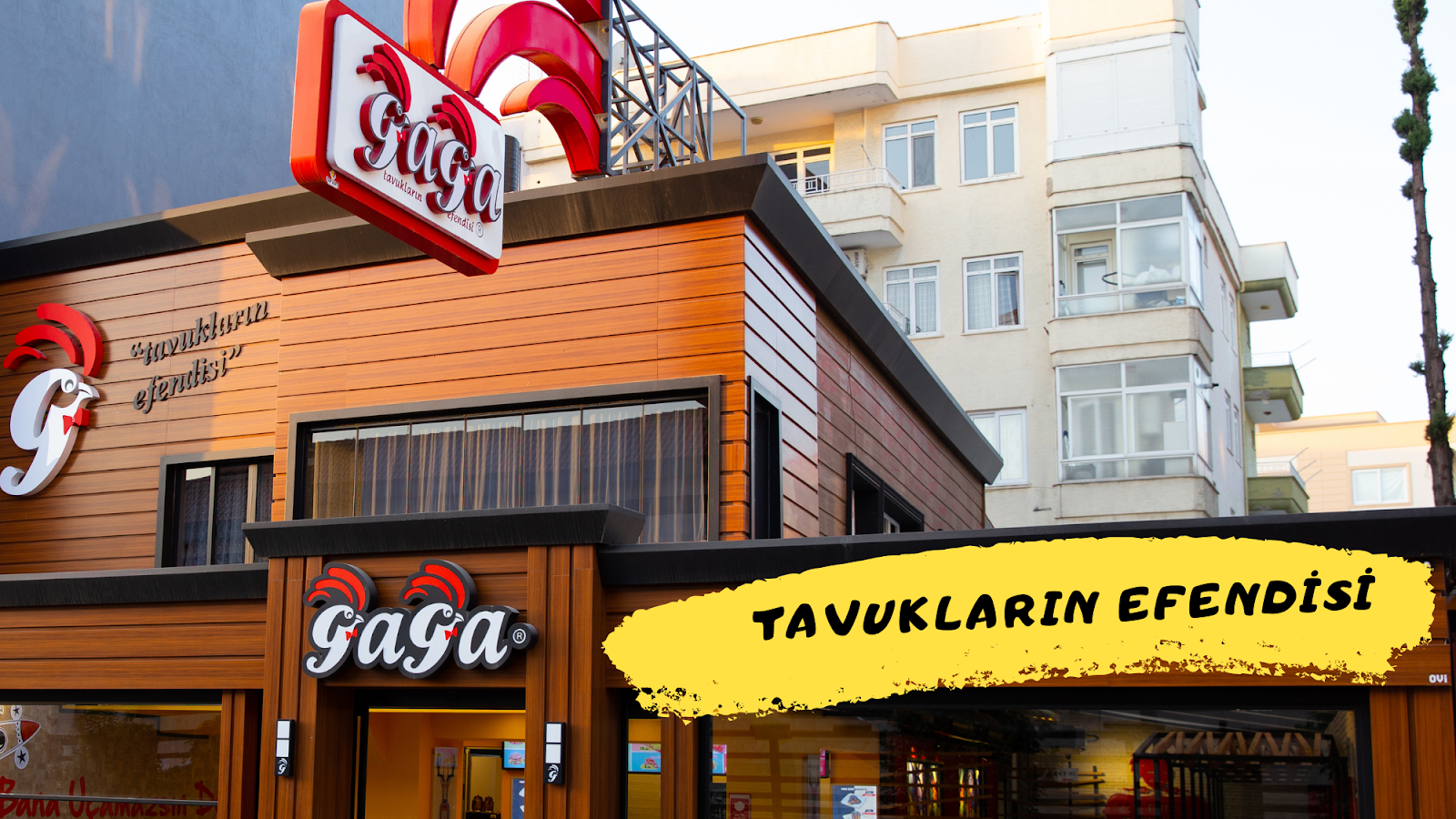 Gaga Tavukların Efendisi — photo