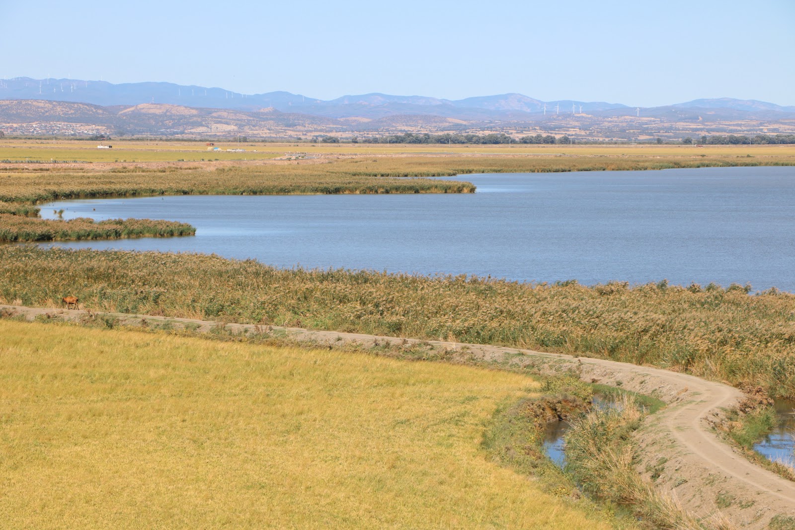 Gala Gölü Milli Parkı — fotoğraf 4